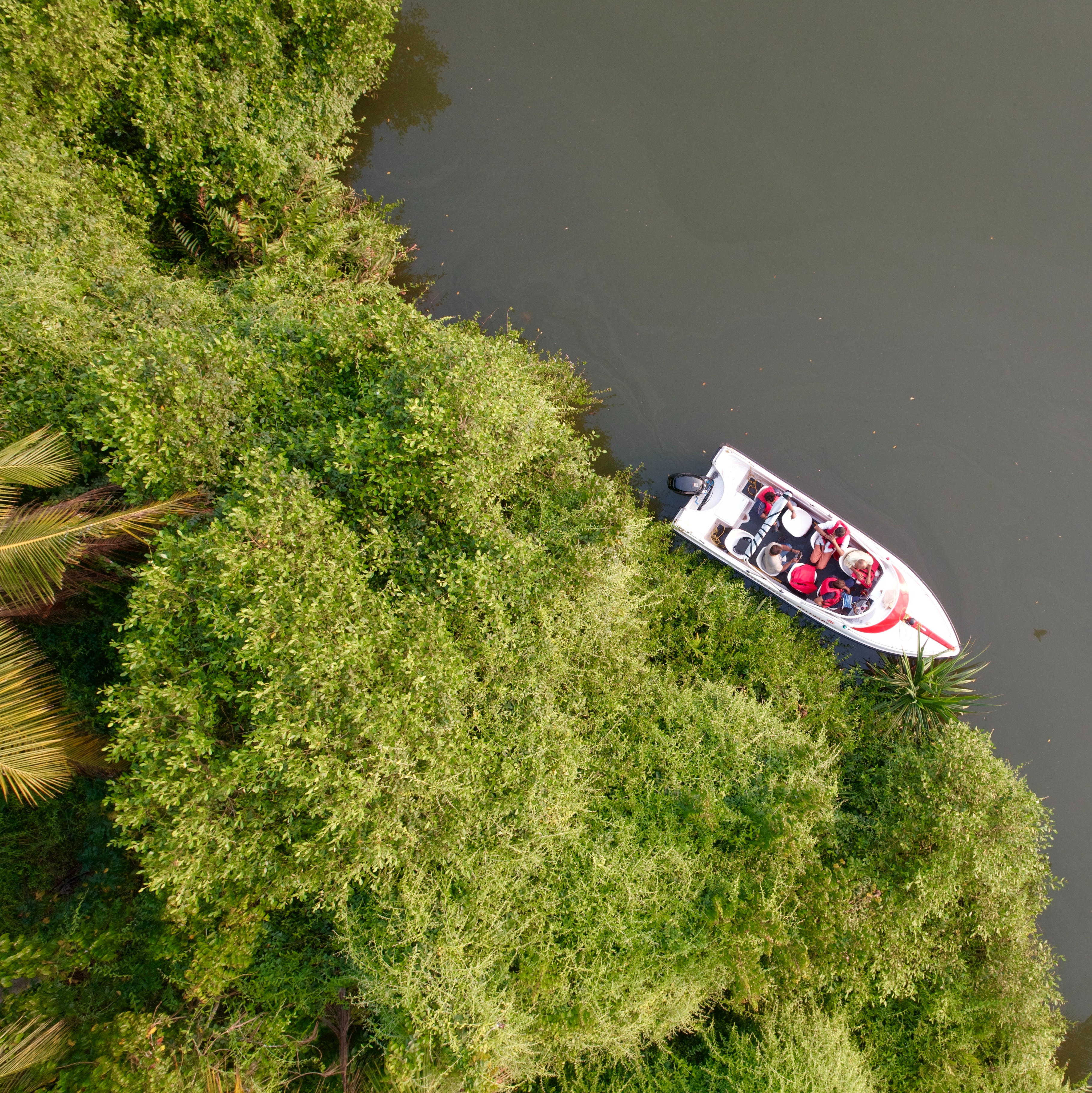 Explore Mangroves - Kozhikode Leisure Tourism