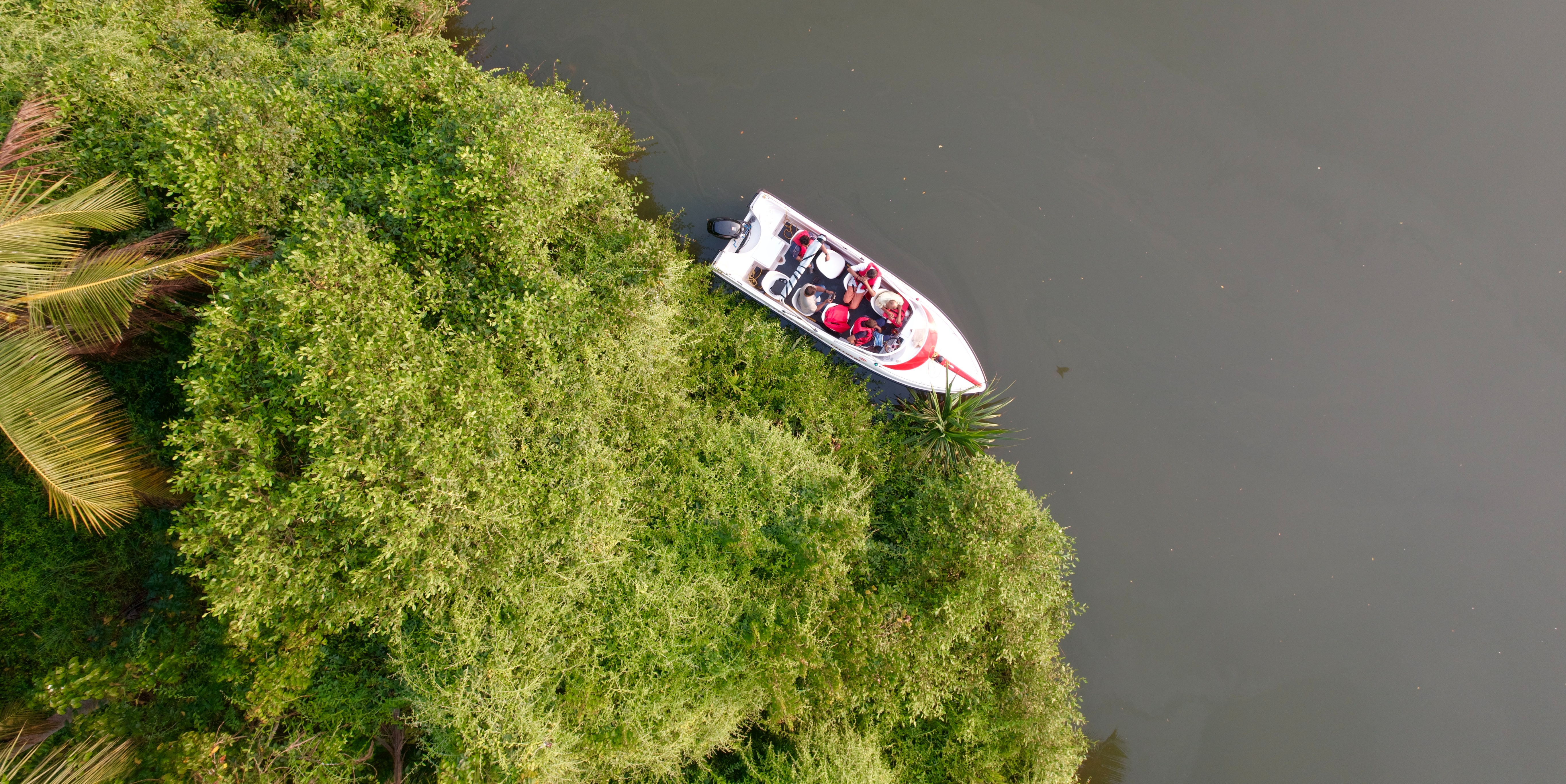 Explore Mangroves | Kozhikode Leisure Tourism