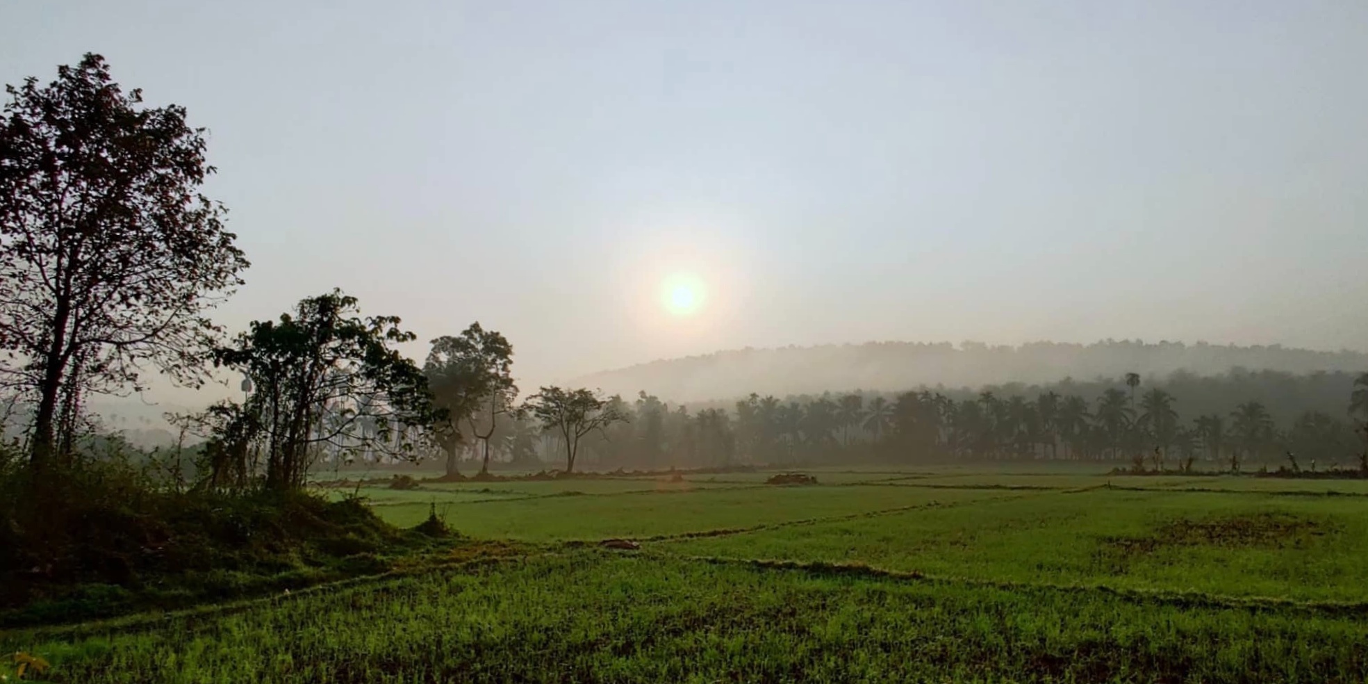 Organic farming | Kozhikode Leisure Tourism